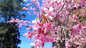 名家專用／台灣旅行趣（勿用）
