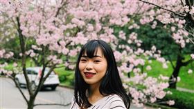 3~4月初春的阿里山堪稱賞櫻勝地，主要的花種包括山櫻花、吉野櫻、八重櫻，整片粉色花。（圖／雄獅提供）