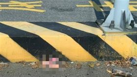 開車,下體,姐夫,紅綠燈,姊夫,情趣用品