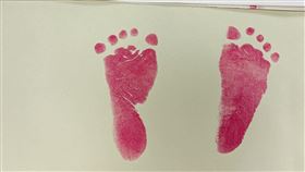 巴掌仙子,早產兒,芊芊,東元綜合醫院,（圖／東元綜合醫院）