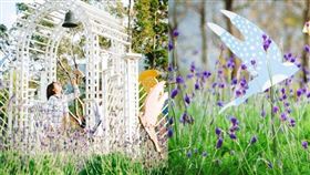 ▲（圖／翻攝自台灣旅行趣）