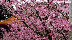 （圖／Deborah提供）