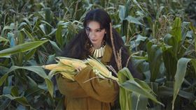 田馥甄/何樂音樂提供