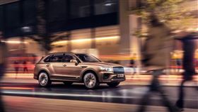 名家專用／車訊網（勿用）