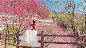 名家專用／台灣旅行趣（勿用）