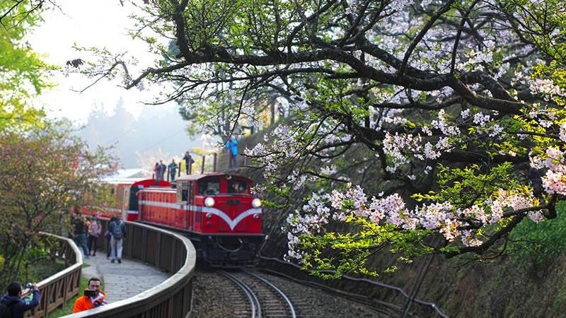 因應防疫！這些地方將管制人潮分流