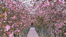 名家專用／台灣旅行趣（勿用）