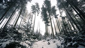 雪地 森林

https://www.flickr.com/photos/hannesflo/28433591927/in/photolist-KjzAgz-26bAYLU-26Bts5m-28FoUjc-2crtdiT-267Lpqj-23pnF3R-2cDov3W-F9ob4b-24R6dhK-Kj9oNB-T7VV62-254cELy-22abGSL-28HxuSH-27995KF-23jd