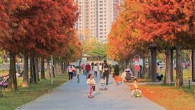 名家專用／台灣旅行趣（勿用）