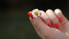 手指。(圖/Pixabay)