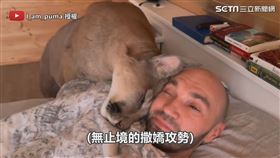 ▲Messi狂撒嬌。（圖／I_am_puma  授權）