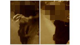 鳳山,霸凌,黃男,墓園,毆打,影片