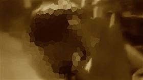 鳳山,霸凌,黃男,墓園,毆打,影片