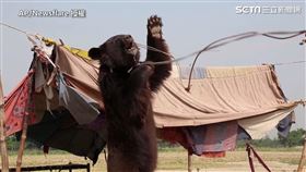 ▲（圖／AP／Newsflare授權）