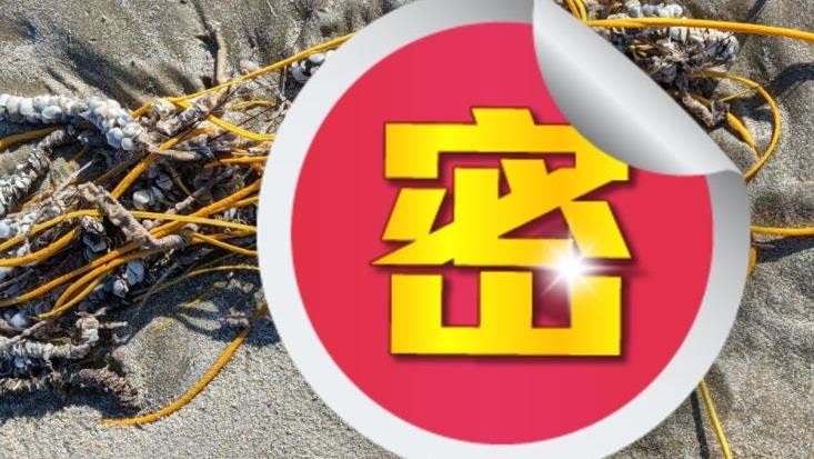 海灘出現黃繩子　她近看嚇壞：不要碰