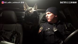 警犬驚醒滿臉懵　秒開值勤模式低吼！