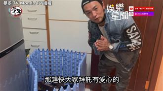 見6隻毛孩遭棄　夢多送養前全接收