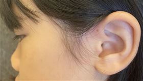 耳前廔管　魚腮　科學家（圖／記者潘靚緯拍攝）