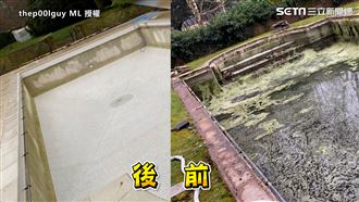 泳池遍布落葉、青苔　達人出手神救援