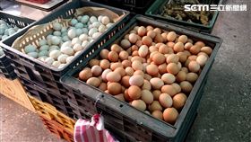雞蛋 鴨蛋 鹹蛋 蛋（示意圖／記者戴玉翔攝影）