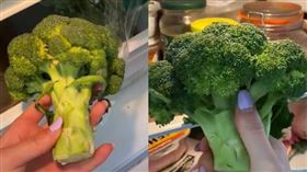家中花椰菜變黃、枯萎？只要3步驟就能讓它回春。（圖／翻攝自Alesha Ruddenklau抖音）