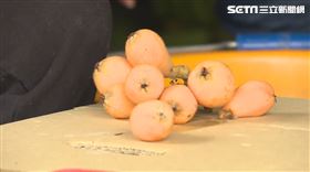 早生枇杷（圖／記者王浩原提供）