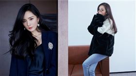 （圖／翻攝自嘉行楊冪工作室微博）