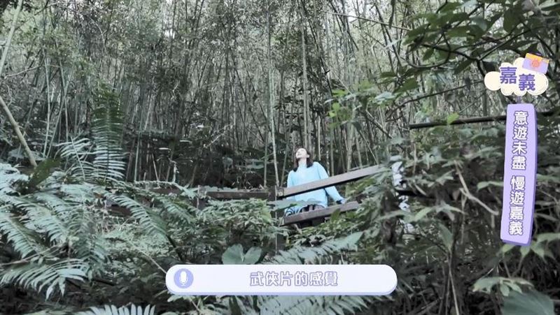 感受受滿滿的芬多精！阿里山親子共遊最佳去處！