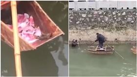 真的「撈錢」！河邊莫名浮幾十萬鈔票　鄰居嗨翻跳水撿錢（圖／翻攝自沸點視頻）