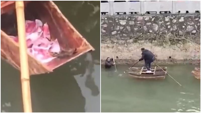 河邊浮上萬鈔票！鄰居嗨翻搶「撈錢」