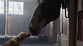 名家專用／草根影響力新視野（勿用）