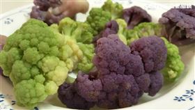 紫色花椰菜,記者許雅惠攝影