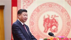 習近平發表新春談話。（圖／翻攝自新華網）
