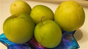 蜜棗 水果 棗子 過年當令水果 削皮 植化素 （圖／記者許雅惠攝影）