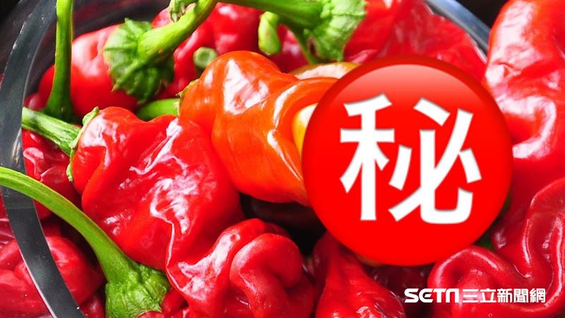 獨／「陽具辣椒」是真的　散發人參味