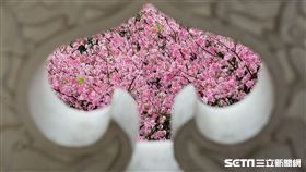 天元宮(記者陳弋攝影)