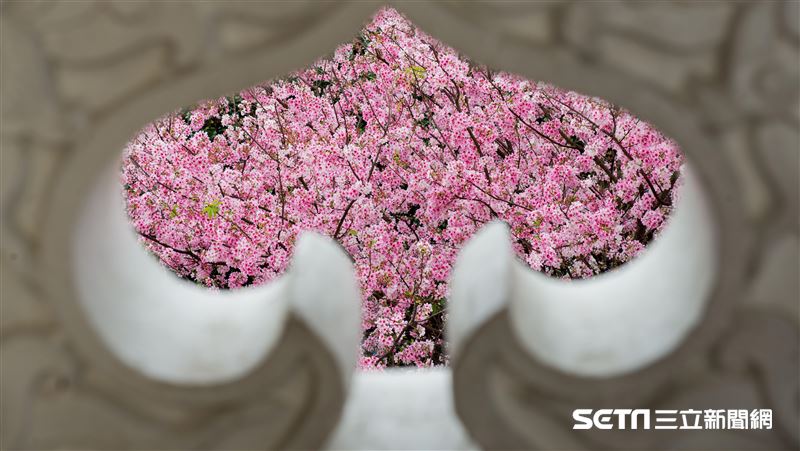 逾6千遊客湧入　天元宮：不排除封山