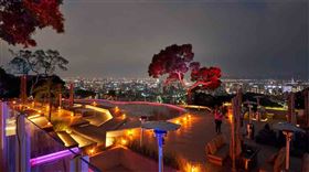 爛醉仙境，（圖／爛醉仙境提供）