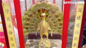 金聖孔雀（圖／金銓鑫彩券行提供）