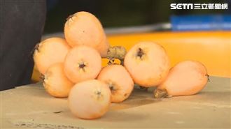 寒流賺到紅包！台東早春枇杷潤肺搶手