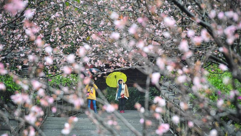 想衝碧山巖、白石湖？這篇看完再出門