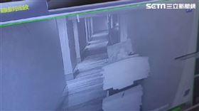 辣模,直播主,掀被,旅館,台中