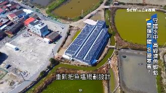 漁電共生雙贏　擋烈陽躲寒流養殖升級