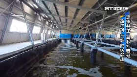 (專案)漁電高科技190911