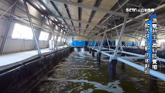 漁電共生！國土多元利用養出美味海產