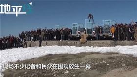 伊拉克,動物,棕熊,放生（圖／翻攝自燃新聞視頻）