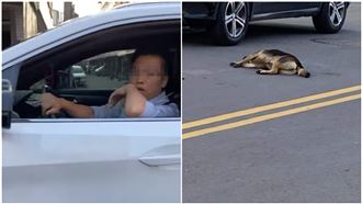 撞死狗嗆「畜生啦」！雲林男還原實況