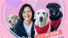 蔡英文總統14日偕同三隻愛犬祝福大家情人節快樂。（圖／翻攝蔡英文臉書）