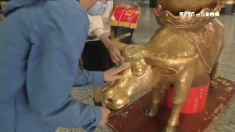 春節貼金牛！這些「部位」有不同含意