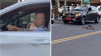 輾死狗狠嗆「畜生啦」肇事駕駛回應了